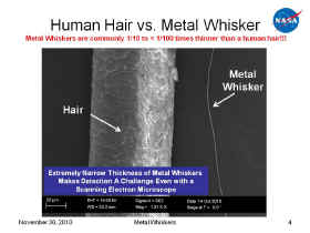 hair-vs-whisker.jpg (73297 bytes)